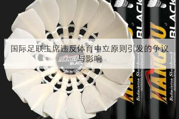 guo-ji-zu-lian-zhu-xi-wei-fan-ti-yu-zhong-li-yuan-ze-yin-fa-de-zheng-yi-yu-ying-xiang-2-944.jpg