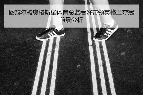tu-he-er-bei-ao-ge-si-bao-ti-yu-zong-jian-kan-hao-dai-ling-ying-ge-lan-duo-guan-qian-jing-fen-xi-2-968.jpg